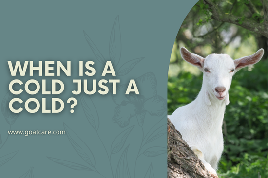 When Is a Cold Just a Cold?