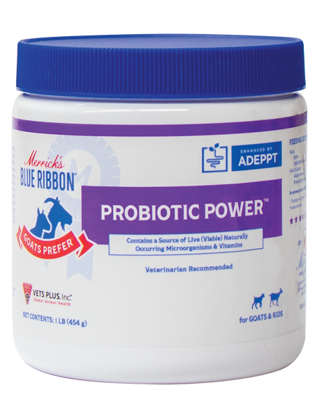 Probiotic Power by Merrick's Blue Ribbon