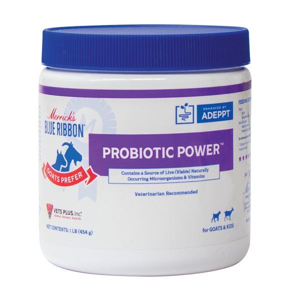 Probiotic Power by Merrick's Blue Ribbon