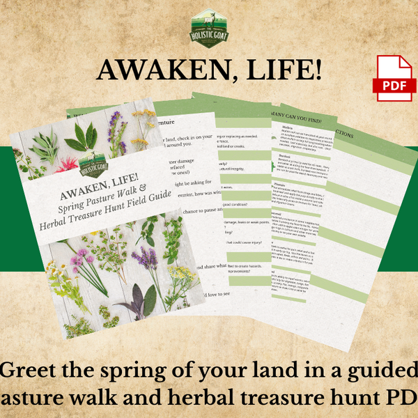 AWAKEN, LIFE! Spring Pasture Walk & Herbal Treasure Hunt PDF Guide + Video Walk