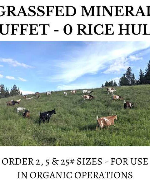 GRASSFED Mineral Buffet Refill – Pure Minerals & Salt