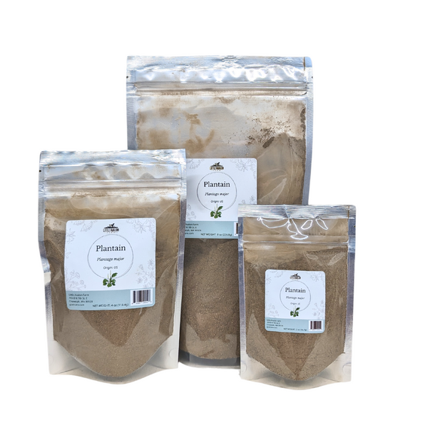 Plantain Leaf Powder by Little Avalon Farm with Bonus Digital Content!