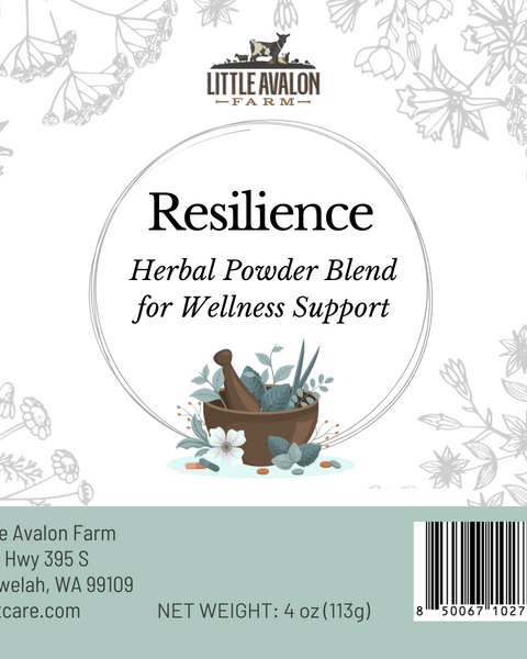 Resilience Herbal Powder Blend | Supporting Normal Immune Function in Animals 4 oz