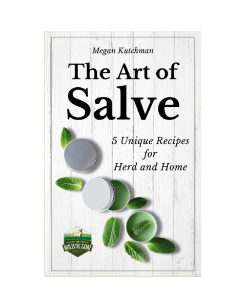 The Art of Salve: 5 Herbal Recipes for Herd & Home