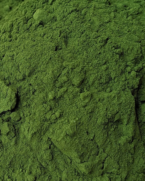 Chlorella Powder (Cracked Cell Wall) by Little Avalon Farm with Bonus Digital Content!