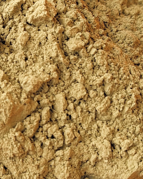Organic Ginger Root by Little Avalon Farm with Bonus Digital Content!