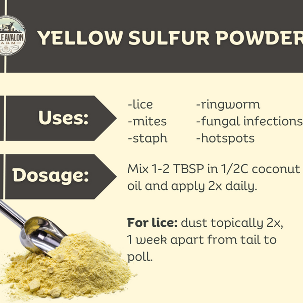 Elemental Yellow Sulfur Powder 99% Purity
