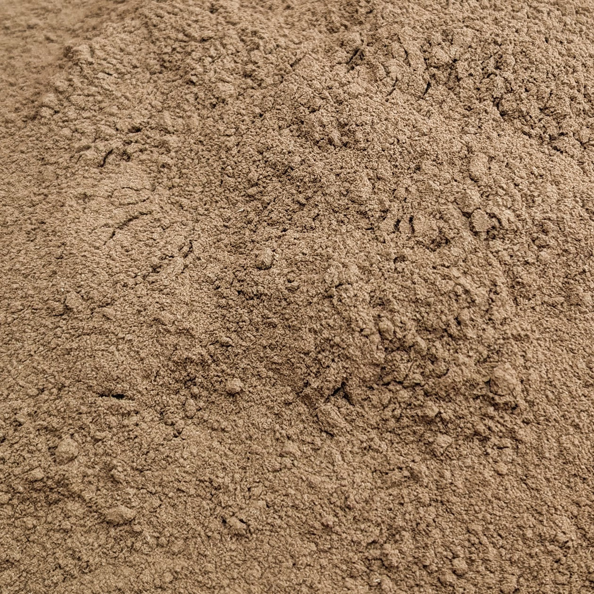 White Willow Bark Powder (Wild Crafted) by Little Avalon Farm with Bonus Digital Content!