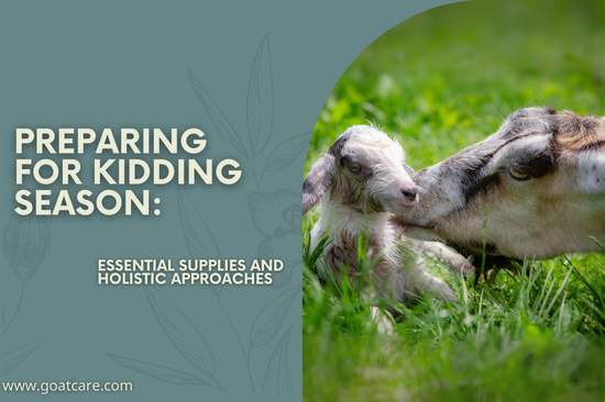 Preparing for Kidding Season: Essential Supplies and Holistic Approaches