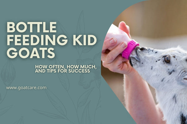 Bottle Feeding Baby Goats: How Often, How Much, and Tips for Success