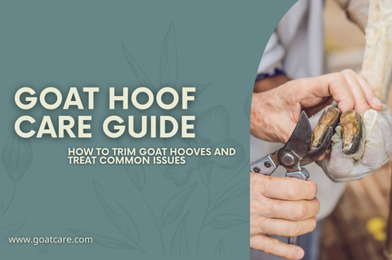 Goat Hoof Care Guide: How to Trim Goat Hooves And Treat Common Issues