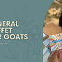 Mineral Buffet for Goats
