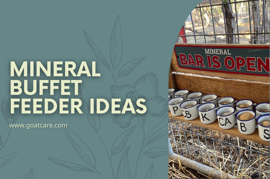 Mobile, Small Animal Mineral Buffet Feeder Ideas