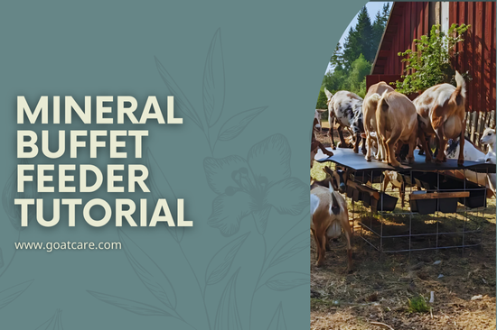 Build a DIY Goat Mineral Feeder