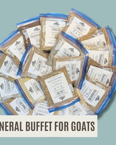 The COMPLETE Mineral Buffet Starter Kit 20 Minerals (non-GMO) + Salt FACEBOOK SPECIAL OFFER
