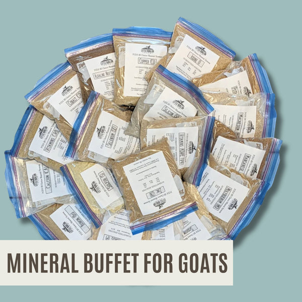 The COMPLETE Mineral Buffet Starter Kit 20 Minerals (non-GMO) + Salt FACEBOOK SPECIAL OFFER