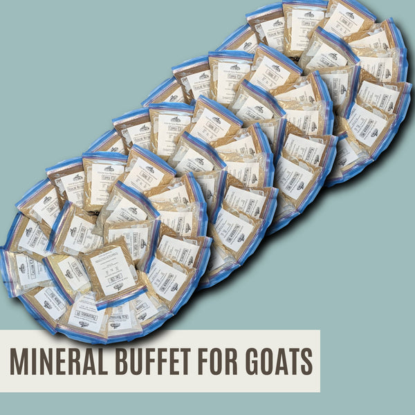 The COMPLETE Mineral Buffet Starter Kit 20 Minerals (non-GMO) + Salt FACEBOOK SPECIAL OFFER