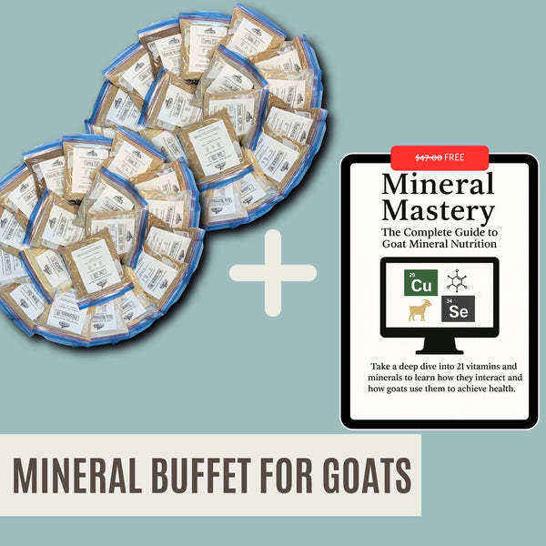 The COMPLETE Mineral Buffet Starter Kit 20 Minerals (non-GMO) + Salt FACEBOOK SPECIAL OFFER