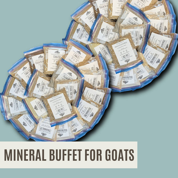 The COMPLETE Mineral Buffet Starter Kit 20 Minerals (non-GMO) + Salt FACEBOOK SPECIAL OFFER