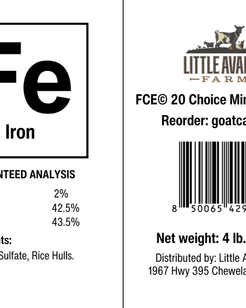 Iron for the Mineral Buffet - BaB