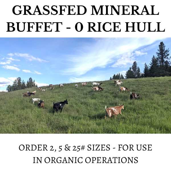 GRASSFED Mineral Buffet Refill – Pure Minerals & Salt