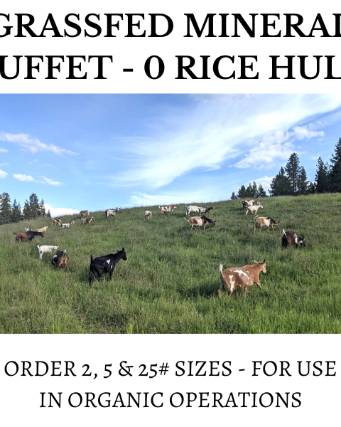 Minerals for the GRASSFED Mineral Buffet - Non GMO, No Rice Hulls, Only Minerals and Salt