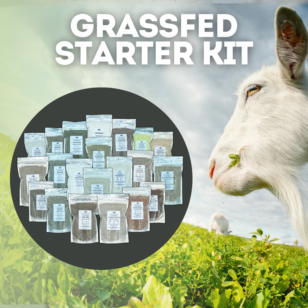 The GRASSFED Mineral Buffet Starter Kit - 20 Non GMO Minerals + Salt