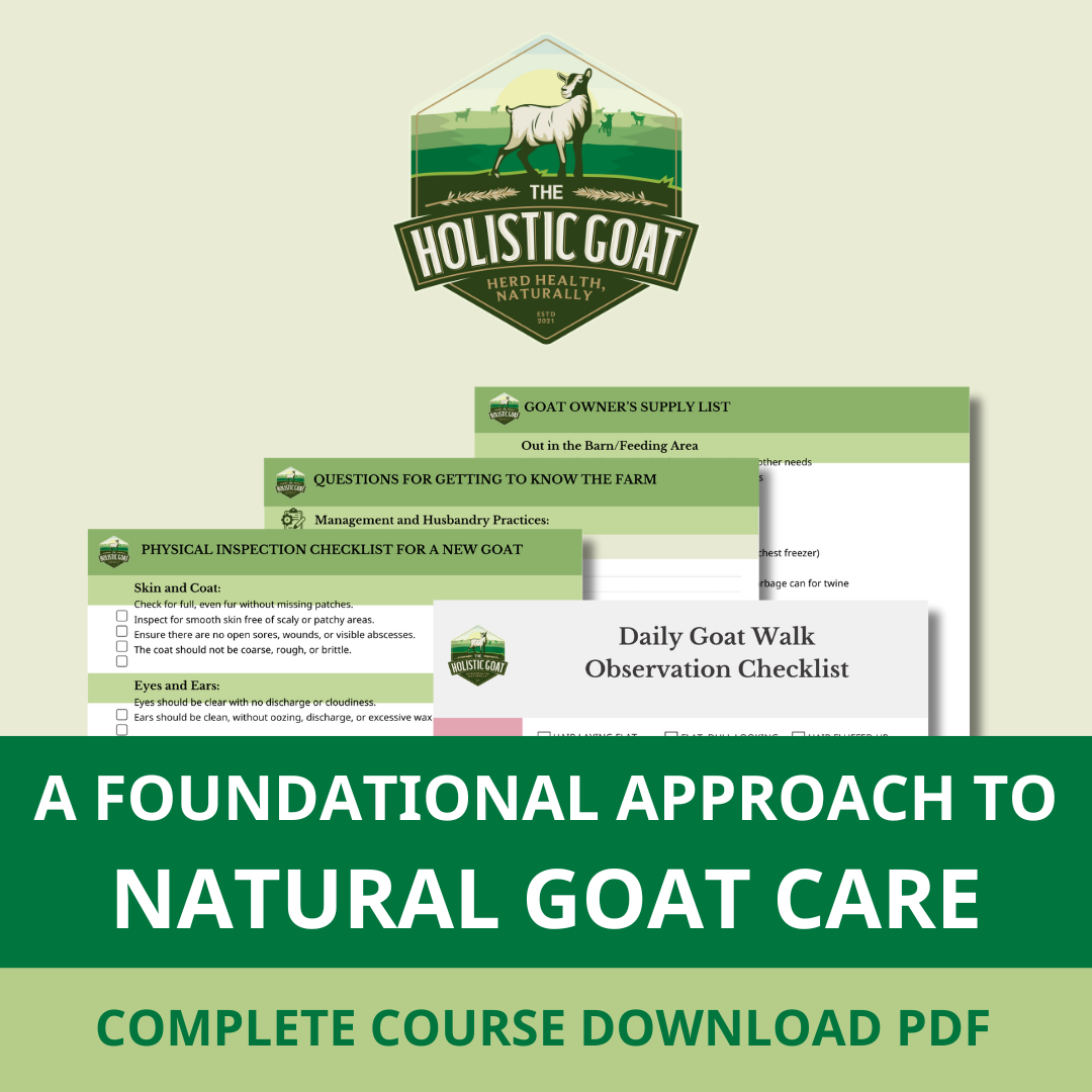 The Holistic Goat: A Foundational Approach to Natural Goat Care Complete Course Download PDF