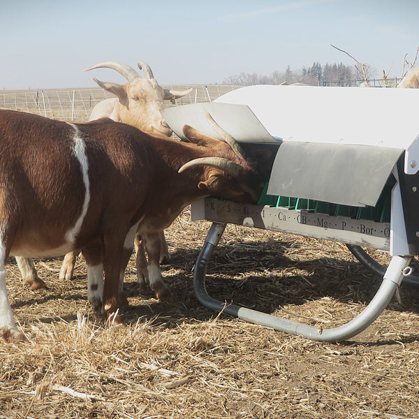 Billy Goat Mineral Buffet Feeder