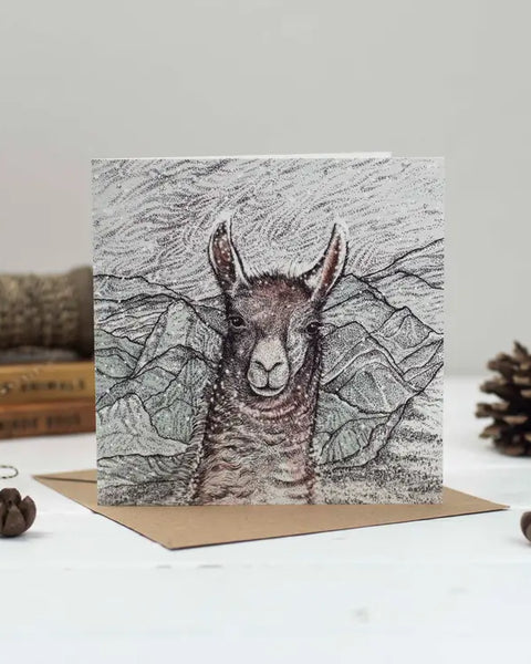 Llama Greeting Card