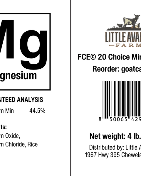 Magnesium for the Mineral Buffet - BaB