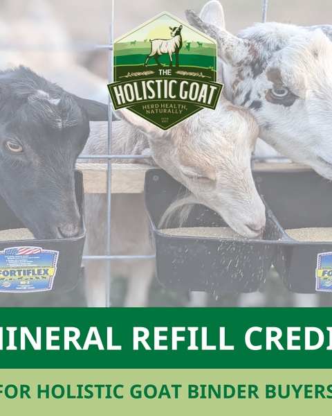 The Holistic Binder Bundle Mineral Credit