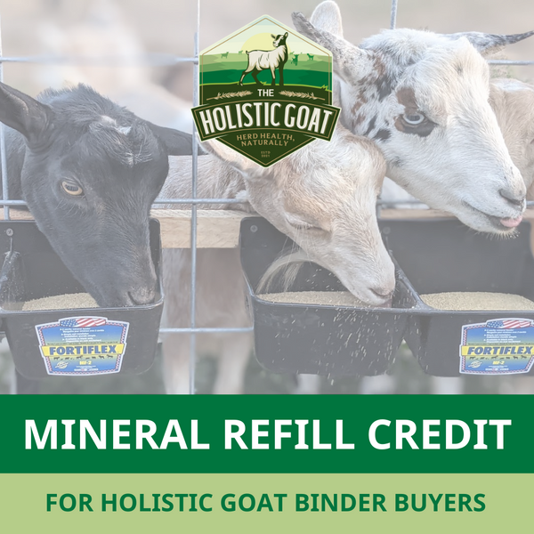 The Holistic Binder Bundle Mineral Credit