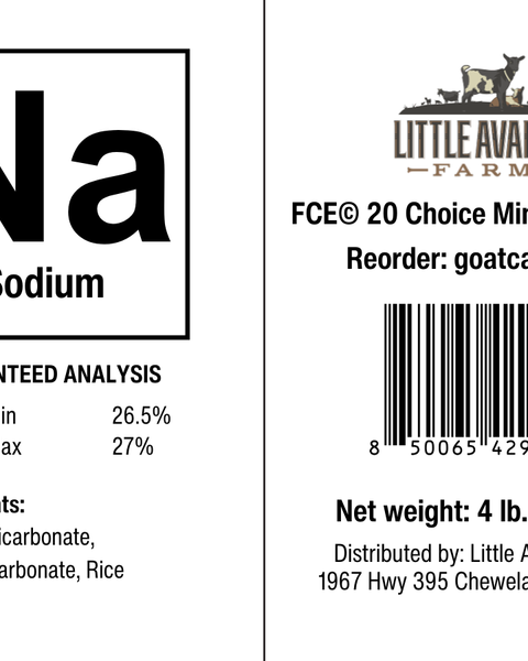 Sodium for the Mineral Buffet - BaB