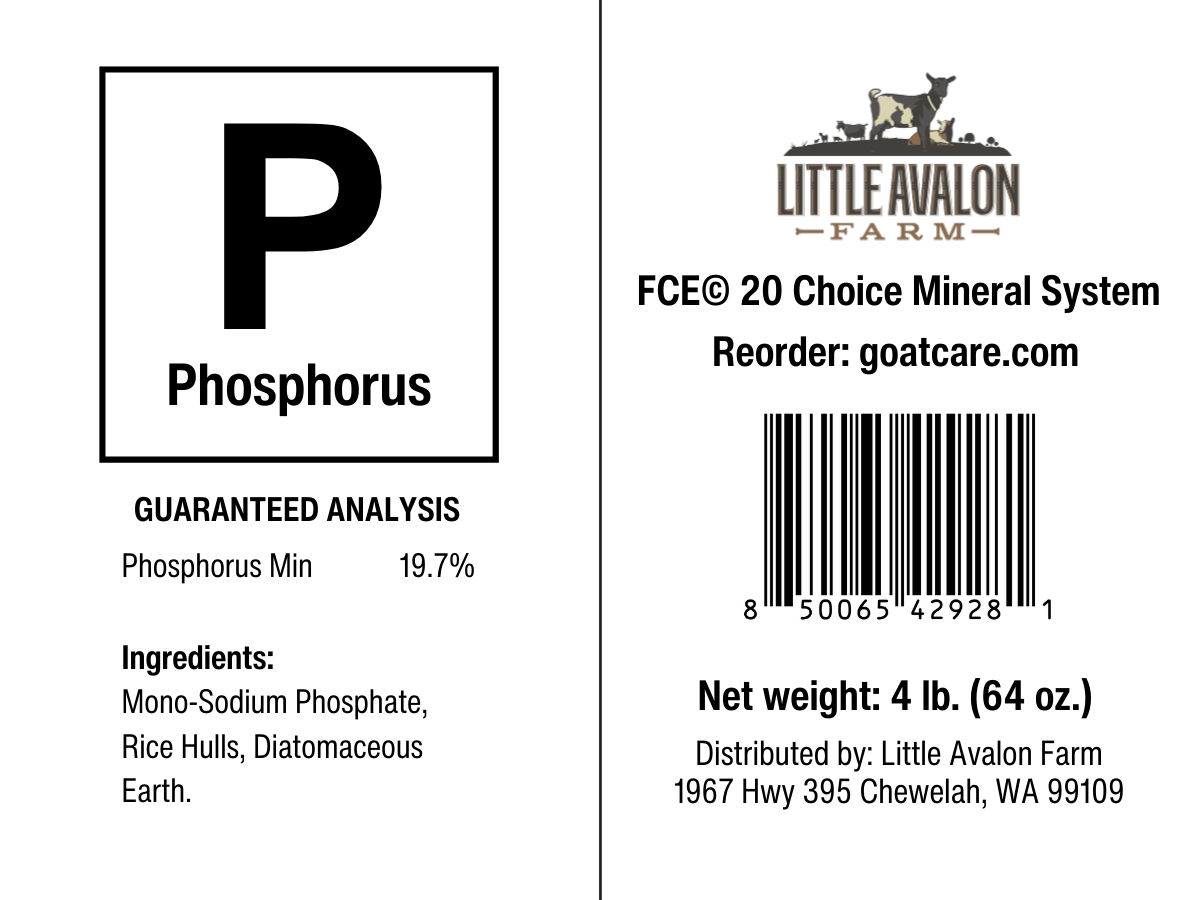 Phosphorus for the Mineral Buffet - BaB