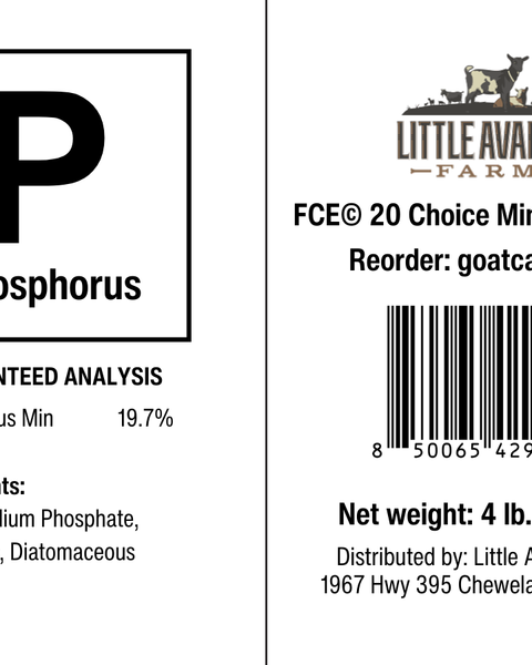Phosphorus for the Mineral Buffet - BaB