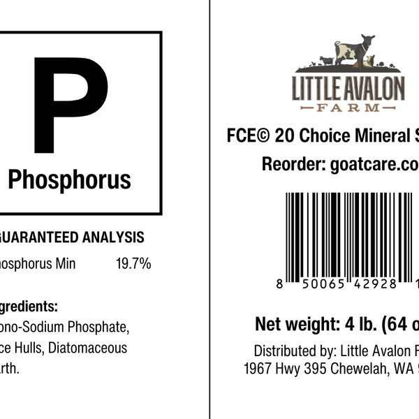 Phosphorus for the Mineral Buffet - BaB