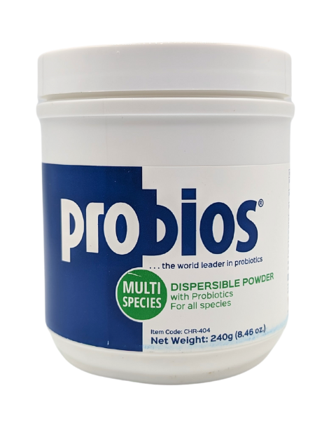 Probios Powdered Probiotic Supplement 240g - 8.46 Ounces