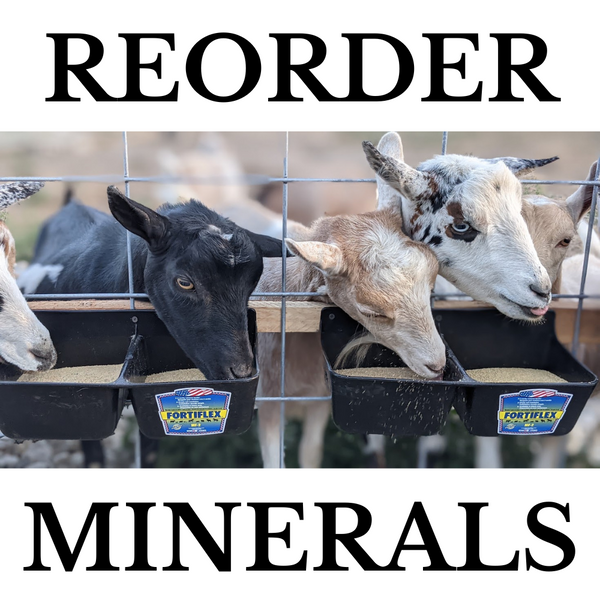 Minerals for the Mineral Buffet (non-GMO)