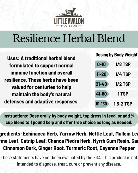 Resilience Herbal Powder Blend | Supporting Normal Immune Function in Animals 4 oz