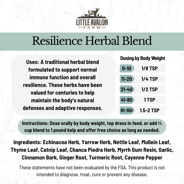 Resilience Herbal Powder Blend | Supporting Normal Immune Function in Animals 4 oz