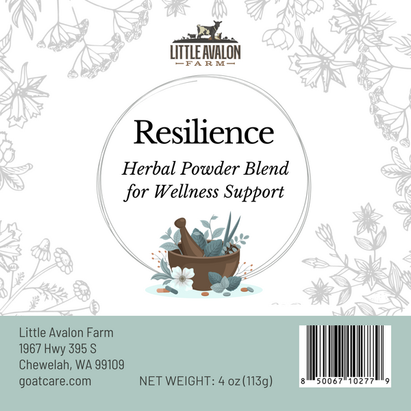 Resilience Herbal Powder Blend | Supporting Normal Immune Function in Animals 4 oz