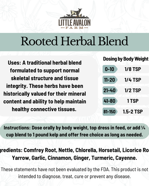 Rooted Herbal Powder Blend | Skeletal & Tissue Support for Animals 4 oz