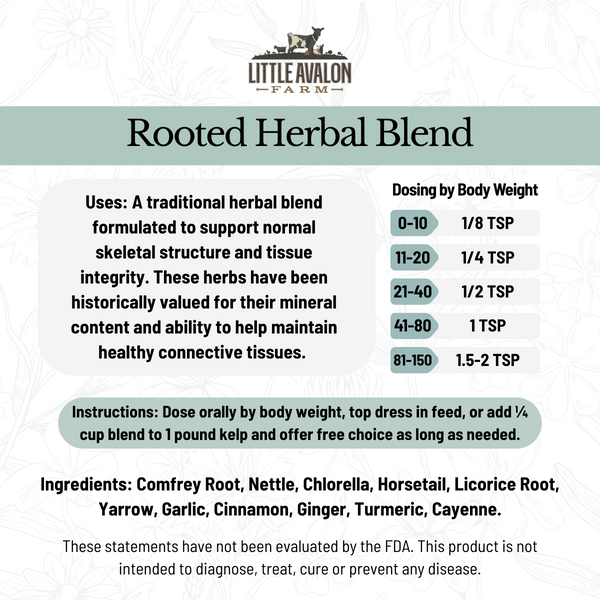 Rooted Herbal Powder Blend | Skeletal & Tissue Support for Animals 4 oz