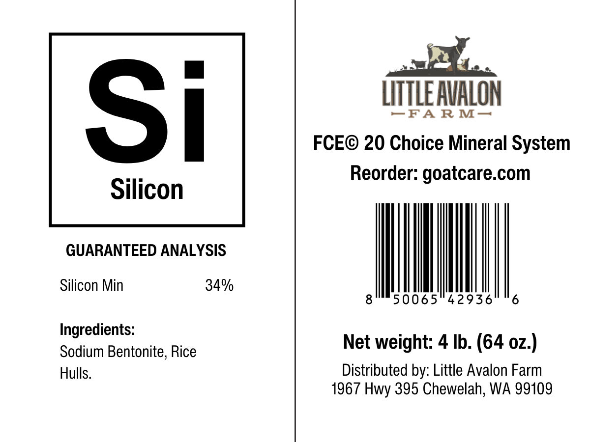 Silicon for the Mineral Buffet - BaB