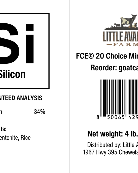 Silicon for the Mineral Buffet - BaB