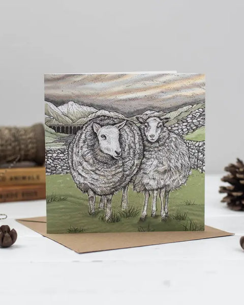 Sheep Greeting Card