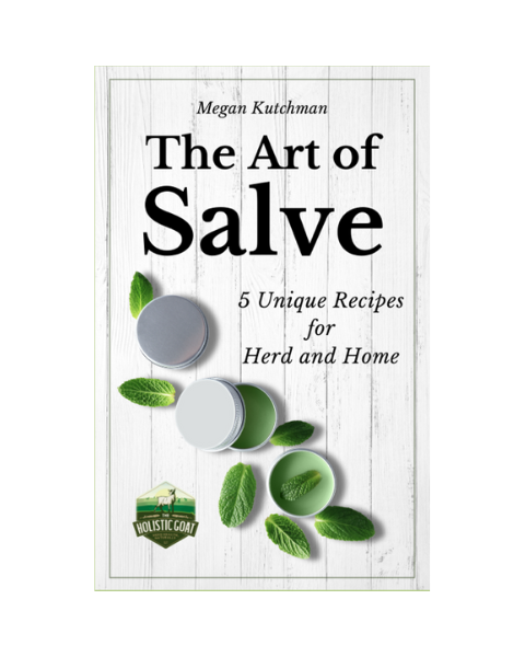 The Art of Salve E-Book by Megan