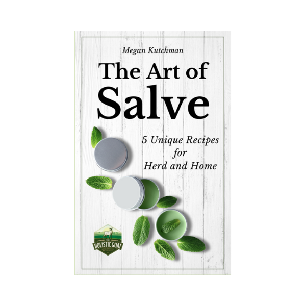 The Art of Salve E-Book by Megan