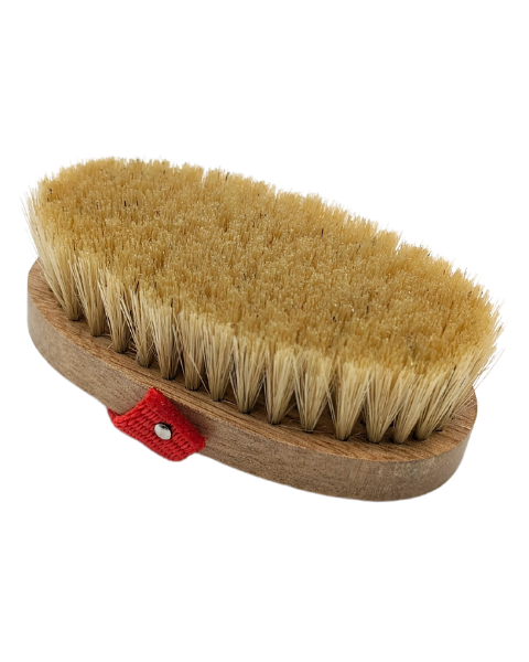 Legends™ Wilbur Body Grooming/Show Brush Natural Boar Bristle